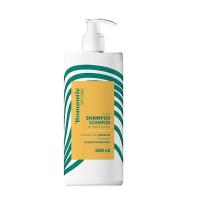 ROMANTIC PROFESSIONAL Шампунь ARGAN 500 мл