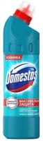 Domestos Чистящее средство для унитазов СВЕЖЕСТЬ АТЛАНТИКИ 750 мл